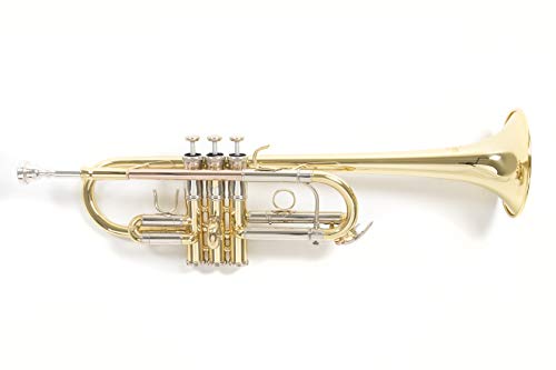 Roy Benson C-Trompete MOD.TR-402C + 1 Satz Bb Züge lackiert, inkl. Etui