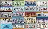 OPO 10 - Los mit 20 USA-Kfz-Kennzeichen aus Metall - Repliken von echten amerikanischen Kennzeichen (V1 + V2)