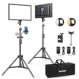 LED Video Kamera Licht, RALENO 2 Pack 384 LED Sanftes Videoleuchte mit 79" Einstellbarer Lichtstativ, Handtasche, 3200-5600K zweifarbige Helligkeit(0-100%) Dimmbar CRI95 für YouTube Studio Fotografie