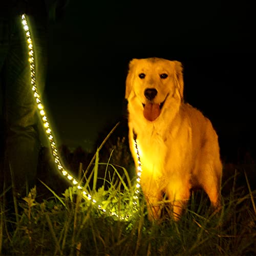 Leuchtende LED-Hundeleine, explosionssicher, mit 3 Blitzmodi, leuchtet auf, für Spaziergänge mit dem Hund in der Nacht, Blau, 150 cm