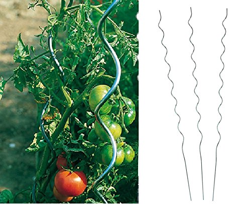 Benelando® Tomaten-Spiralstab 180cm Stahl verzinkt - 2. Wahl (5)