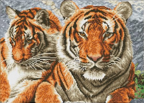 Diamond Dotz DQ10-003 Squares Tigers, ca. 37 x 51,5 cm groß, Diamond Painting, Malen mit Diamanten, funkelndes Bild zum Selbstgestalten, für Kinder und Erwachsene, Bunt