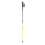 Dynafit Vert Pro Pole Wanderstock, Erwachsene, Unisex, Schwarz/Catus (Schwarz), 125