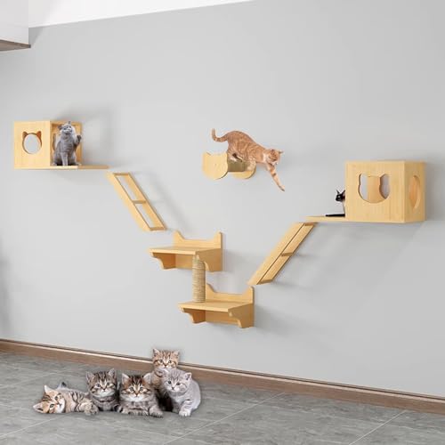 Katzen Wand Klettern Set, Katzenregale und Sitzstangen für die Wand, Inklusive Katzenkratzbaum, Katzenhaus, Stufen, Leitern, Sprungplattform, 14 Arten von Paketen (Size : B3-8PCS)