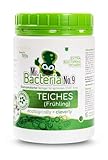 Mr.Bacteria No.9 Bioenzymatischer Reiniger für optimalen Start Ihres TEICHES (Frühling) 500g - 3 Stücke