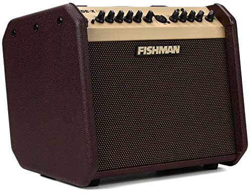 Fishman Loudbox Mini BT 60 Watt 1x6,5 Zoll Akustikkombi