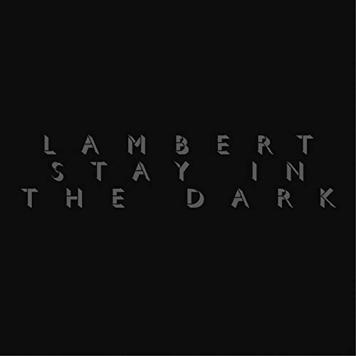 Stay in the Dark [Vinyl LP]