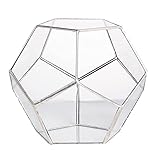 Jzoowar Handgefertigtes Pentagon Glas Geometrische Terrarium Garten Display Blumen Topf Drinnen Draussen Tischplatte HerzstüCk Pflanzer