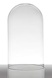INNA-Glas Glashaube - Glasglocke Adelina, Zylinder - Rund, klar, 28cm, Ø 16.5cm - Zylinderglas - Glas Kuppel