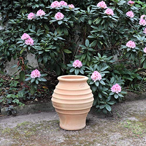 Palatina-Keramik | kleine, winterharte Amphore für den Garten | mediterrane Pflanzgefäße Pflanzkübel Keramik, ideal als Garten Deko, 35 cm Agave
