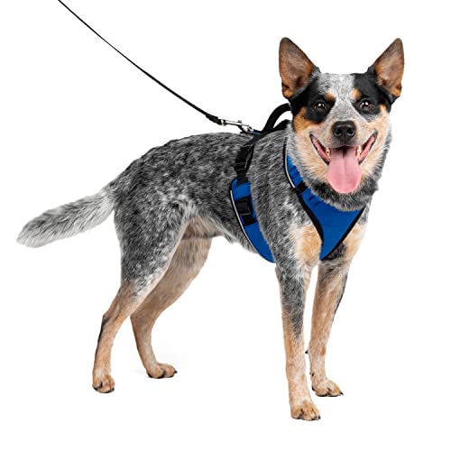 PetSafe Easy Sport Hundegeschirr M blau, extra, Reflektoren, Geschirrgriff, für mittelgroße Hunde