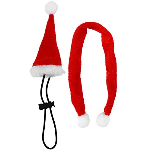 2 Stück Bartagamen Weihnachtsmütze und Schal Eidechse Weihnachtsschal und Mütze Weihnachtskleidung Outfit for Haustiere