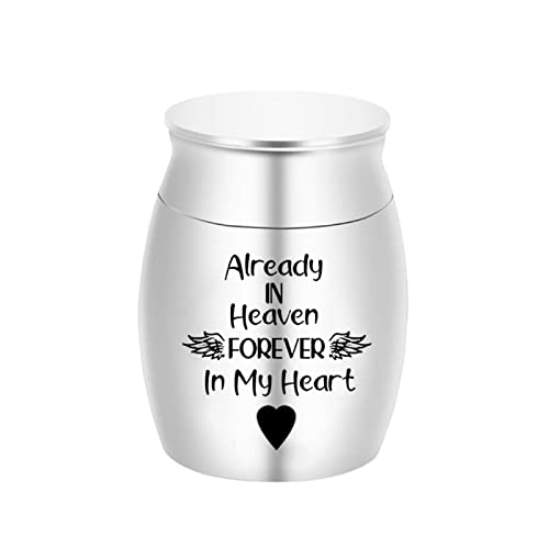 LZHLMCL Asche Box Human Ashes for Pets Memorials Forever In My Heart Dog Cremation Urn Casket Funeral Pendant Silver 30 * 40Mm