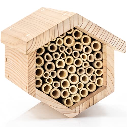 WHITEHORSE Premium Zedernbienenhaus – 15,2 cm Lange, austauschbare Röhren – perfekt für die Maurer-Imkerei – EIN Insektenhotel für die Ewigkeit – tolle Ergänzung für Ihre Gartendekoration