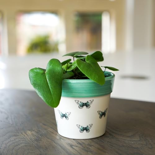 Ivyline Pflanzgefäß, Keramik, Schmetterling, 10 x 10 cm