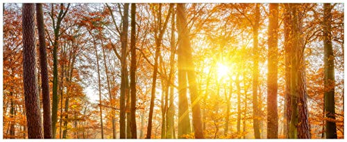 Wallario Glasbild Sonnenuntergang im herbstlichen Wald - 50 x 125 cm Wandbilder Glas in Premium-Qualität: Brillante Farben, freischwebende Optik