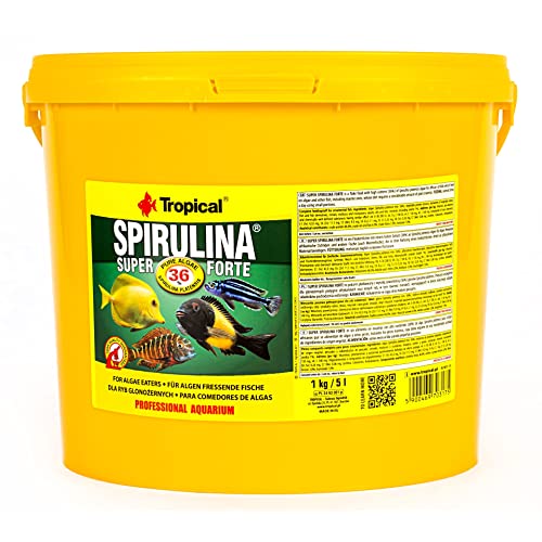 Tropical Super Spirulina Forte Flockenfutter mit 36% Spirulina (Platensis) Anteil, 1er Pack (1 x 5 l)