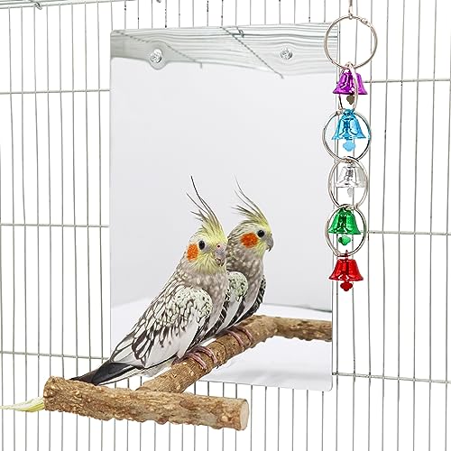 30 x 20 cm großer Vogelspiegel-Spielzeug mit Sitzstange, Papageien-Sittichspiegel mit Vogelschaukel-Glocke, Vogelkäfig-Zubehör, geeignet für Sittich, Nymphensittich, Sittich, Sittich, Sittich,