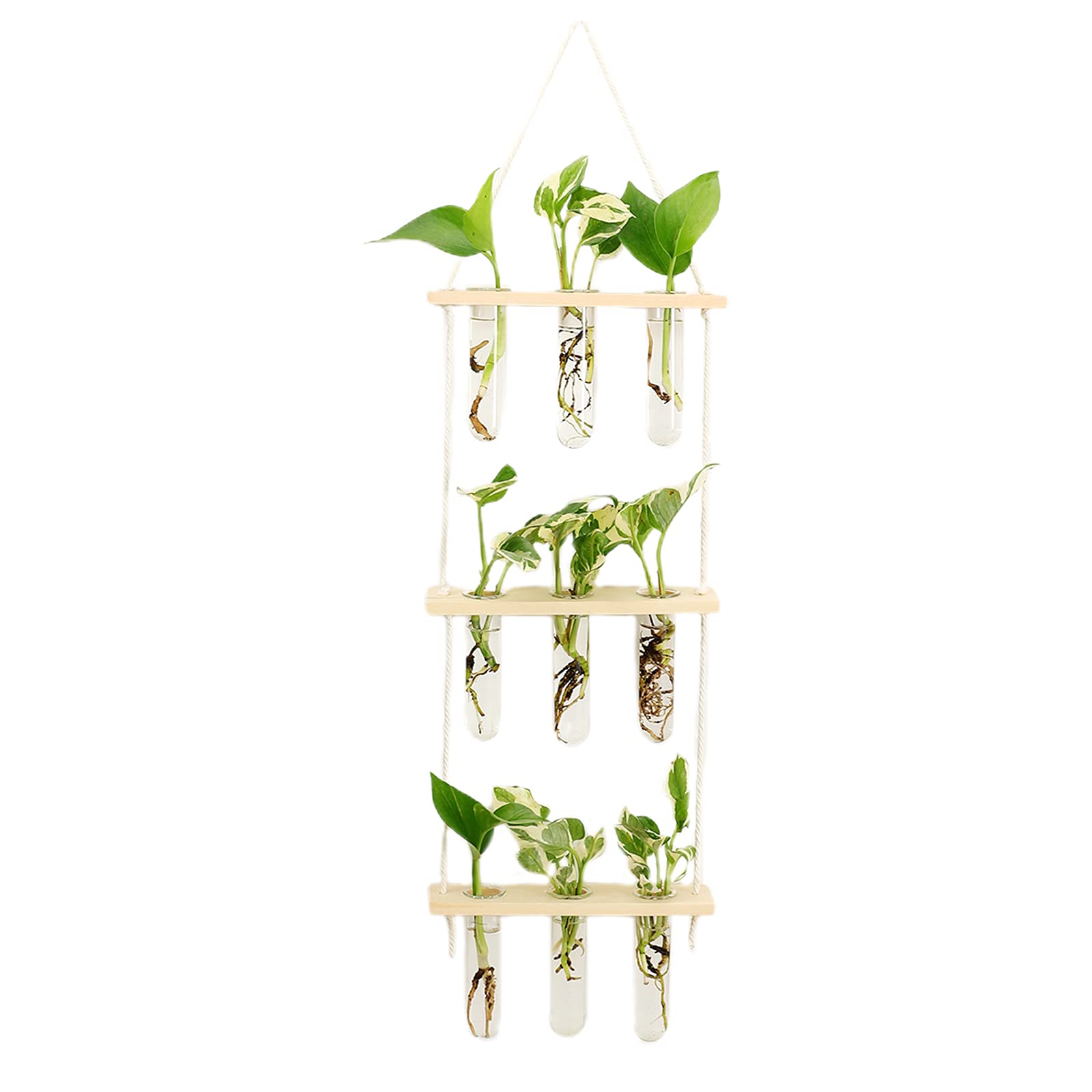 HLTER Wandbehang Glas-Pflanzgefäß, 3 Ebenen Mini Reagenzglas Blumenvasen Pflanzen-Terrarium mit Holzständer Reagenzglas Vase Air Planter Halter für Hydrokulturpflanzen