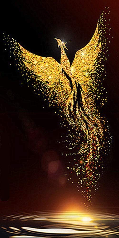 RAILONCH DIY 5D Golden Phoenix Diamant Painting für Erwachsene, voller Bohrer Strass Bilder Handwerk für Haus Wand Dekor (60×120cm)
