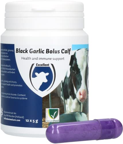 Excellent Black garlic bolus kalf