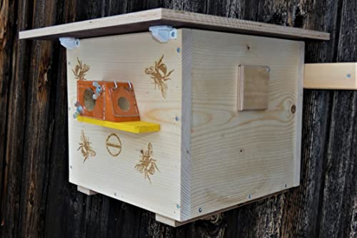 🐝 Hummelkasten 🐝 zum Stellen oder aufhängen, mit Wachsmottensperre, Sichtfenster und Nistmaterial Imprägniert Wetterfest Bienenhaus Hummelhaus Nistkasten Hummelvilla Bienen Insektenhaus 🐝