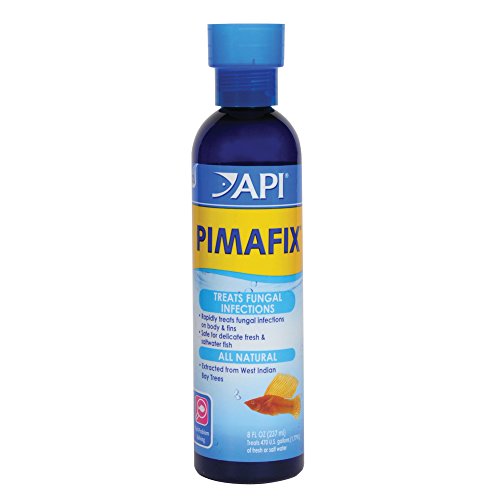 API PIMAFIX Antifungales Süß- und Salzwasser-Fischmittel 237 ml Flasche