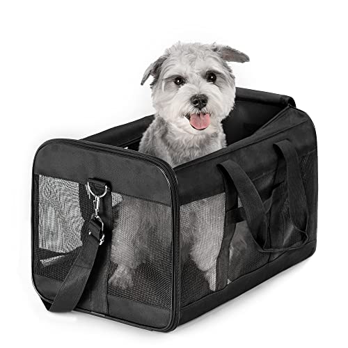 HITSLAM hundebox Faltbar Hundetransportbox Katzentransportbox Katzenbox Transportbox katzentasche für Hund, Katzen, Airline Zugelassen, Reisefreundliche Transporttasche (L)
