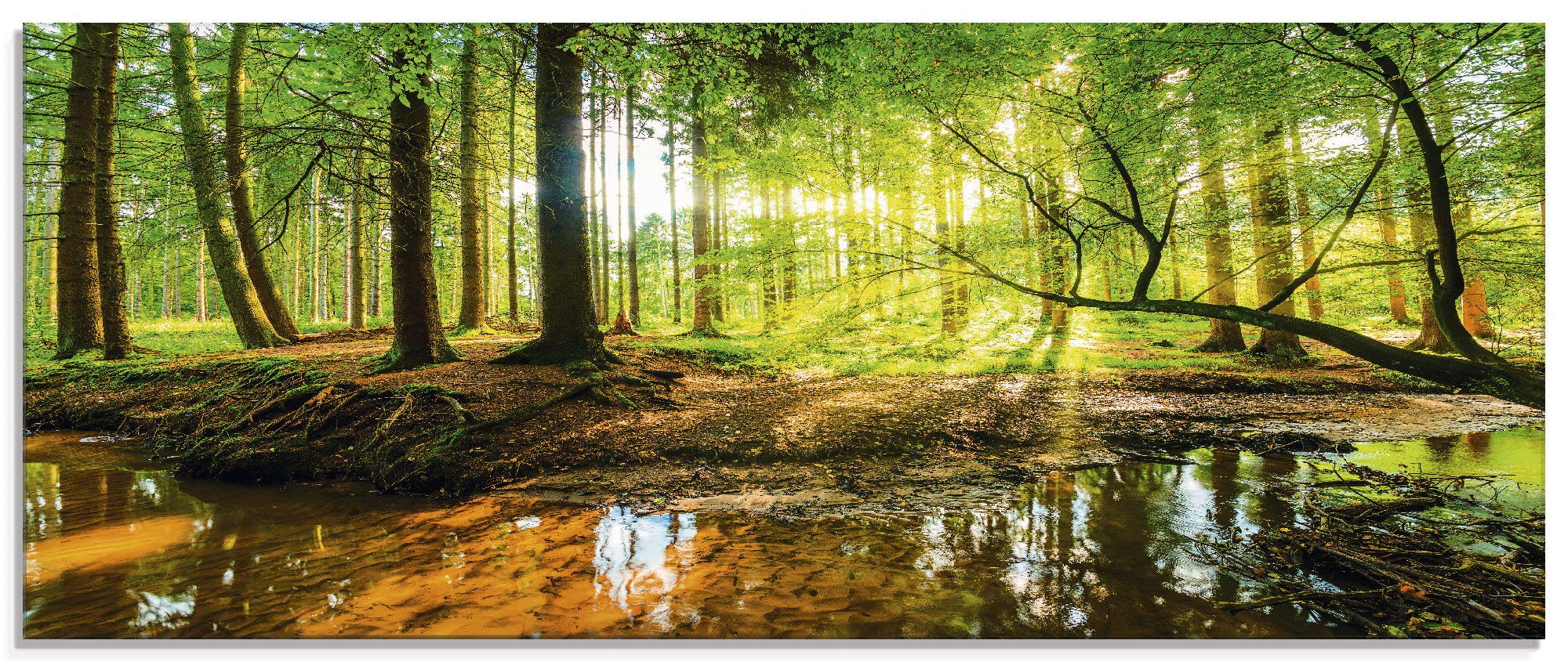Glasbilder Wandbild Glas Bild einteilig 125x50 cm Querformat Wald Natur Landschaft Bäume Bach Sonne Frühling T9IO ARTland