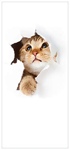 Wallario Selbstklebende Türtapete Katze mit Blick nach Oben - Türposter 93 x 205 cm Abwischbar, rückstandsfrei zu entfernen