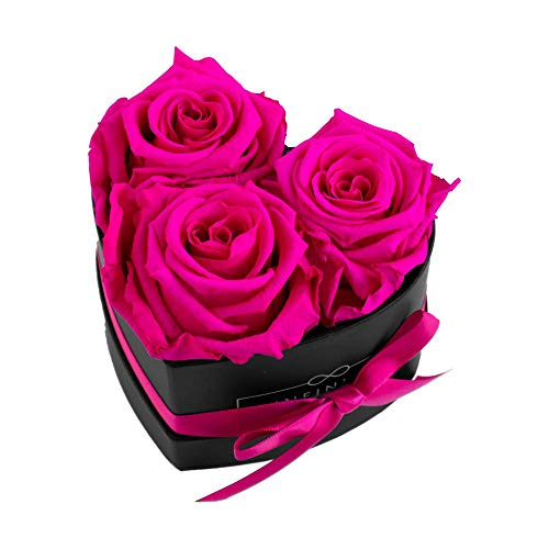 Infinity Flowerbox Small Heart Konservierte Rose, Hot Pink