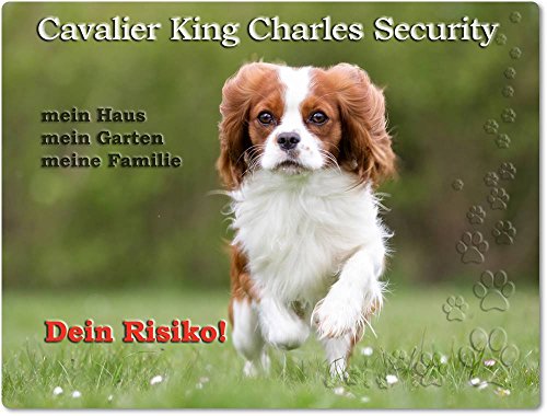 Merchandise for Fans Warnschild - Schild aus Aluminium 30x40cm - Motiv: Cavalier King Charles Spaniel Security (01)