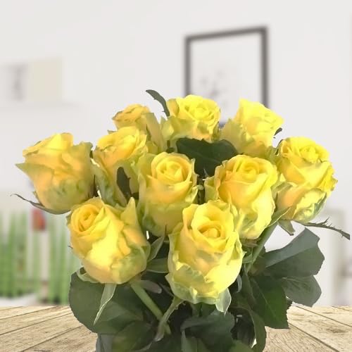 10 gelbe Rosen - Langstielig - Vasenfertig - Frische Rosen von Rosenbote