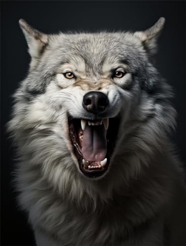 MAFANG 5D Diamant Painting Wolf Tierporträt Diamant-Kunst-Set，Rund，Voller Bohrer，5D-Diamant-Kunsthandwerk Für Zuhause，Wanddekoration，DIY-Geschenk 50X70cm