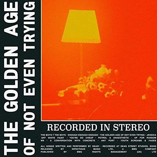 Golden Age of Not Even Trying [Vinyl LP]