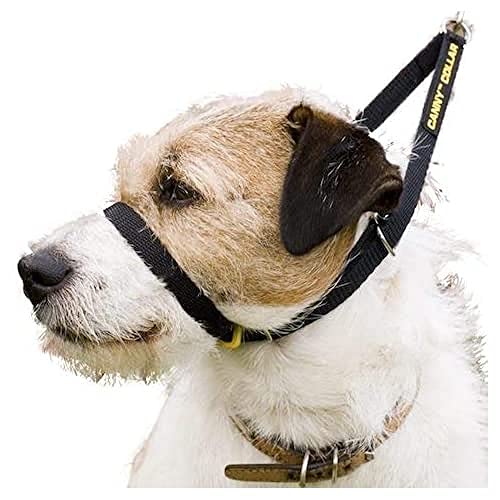 Canny Dog Collar Black Größe 1
