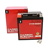 Carbon Electric Gel Batterie Motorradbatterie (14Ah YTX16-BS_MF)