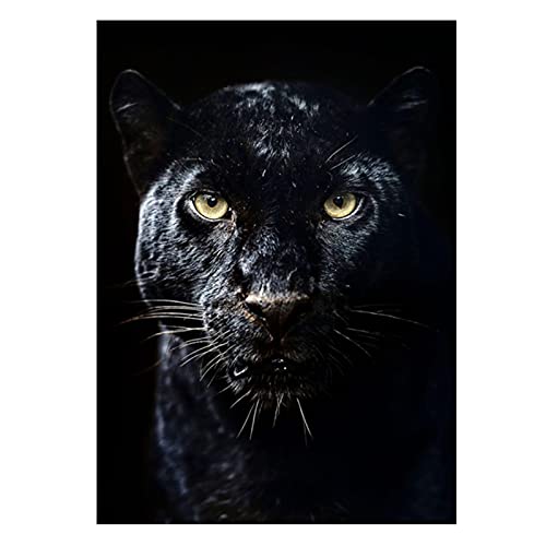 LXWWW Abstrakte Leinwanddrucke Poster Black Panther Tier Wandkunst Malerei Moderne Leinwand Bild Für Wohnzimmer Wohnkultur 70x100 cm Rahmenlos