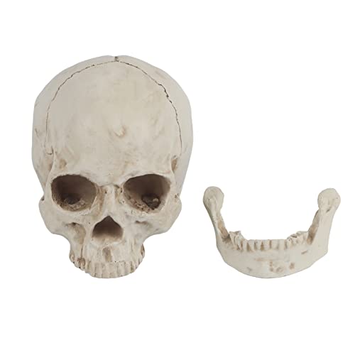 Resin Skull Model, Replica Skull Model, Lifesize Clear Form Halloween Party für Night Club Bar Party Ornament