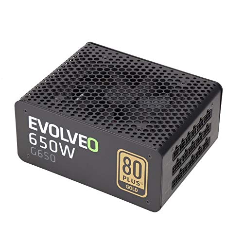 EVOLVEO Netzteil Case E-G650R