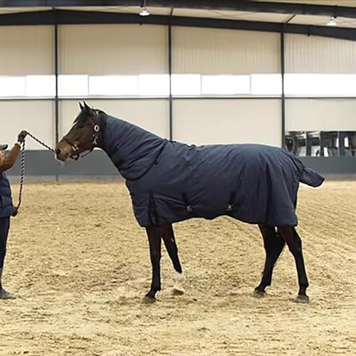 MaJu Abnehmbare Hohe Hals Paddock Decke Pferd Decken 300g Füllung Warm Und Wasserdicht,Blau(Size:125cm)