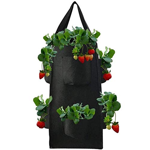 Pflanzbeutel Erdbeer-Aromapflanzen, Pflanzenanbau-Beutel Tasche Pflanzen Von Gemüsesäcken Mit 4/8 Seitentaschen Für Erdbeer-Kräuter Kartoffelblüten-Karotten-Tomaten-Zwiebel-Noir||10 gallons