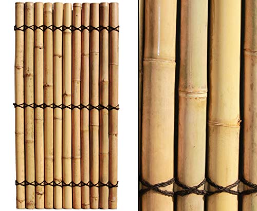 Bambuswand Apas20 180x90cm mit gelblichen Bambusrohren Durch. 7,5 bis 9,0cm