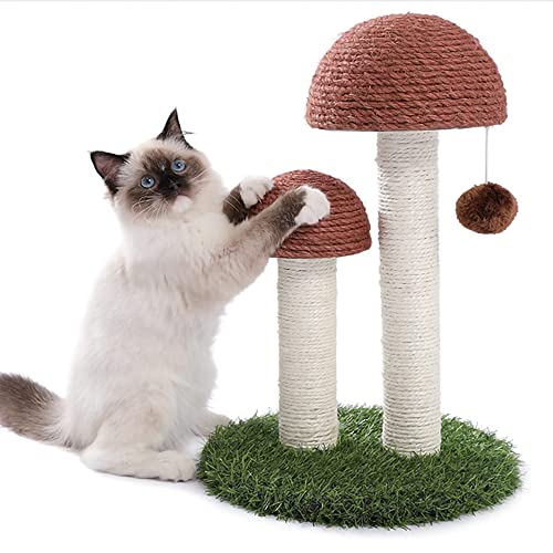 Shifan Lustiges Katzenspielzeug mit Ball für Katzen, Kätzchen, Briefkasten, natürliches Sisal, interaktives Spielzeug für kleine Katzen, gemütliches Nest aus Massivholz