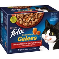 FELIX Sensations Gelees Katzenfutter nass in Gelee, Sorten-Mix, 6er Pack (6 x 12 Beutel mit 85g)