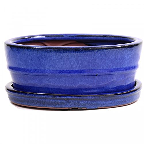 Bonsai - Schale oval, 21 x 15,5 x 8,5 cm, blau, mit Untersetzer 23906