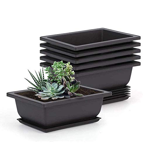 Tiamu Blumentopf Gross Bonsai Schale mit Tablett, Kunststoff Bonsai Pflanztopf für Sukkulenten, Blumentopf Schwarz Bonsai-Trainingstöpfe für Garten, Pflanzen, Krruter 22,5x16,5x7,5 cm