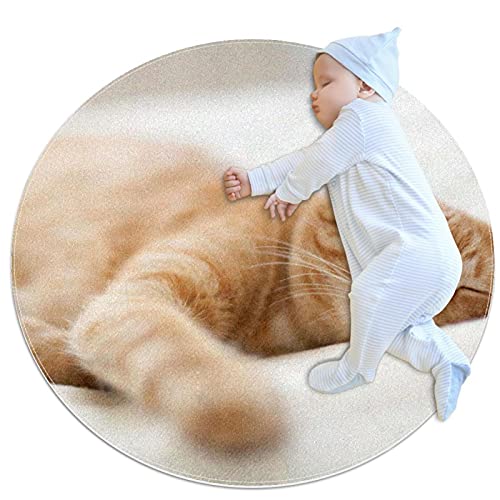 Area Rug Süße Katze Runde Teppiche Weiche, schmutzabweisende Teppichbodenmatte für zu Hause 100x100cm