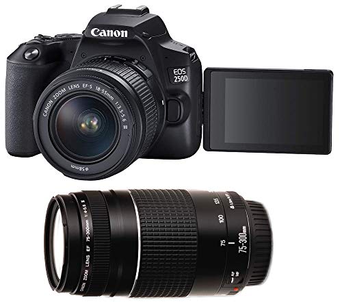 Canon EOS 250D + EF-S 18-55 mm f/3.5-5.6 III + EF 75-300 mm f/4-5.6 III