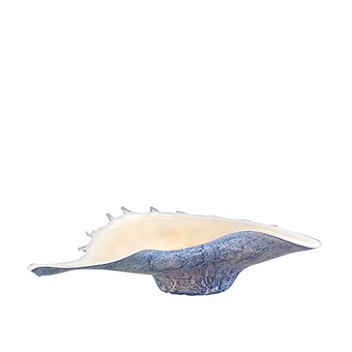 Schale Muschelschale Dekoschale Jozy Art Queen Blau Creme 35 X 20 cm Handgeformt